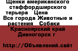 Щенки американского стаффордширского терьера › Цена ­ 20 000 - Все города Животные и растения » Собаки   . Красноярский край,Дивногорск г.